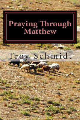 Book cover for Praying Through Matthew