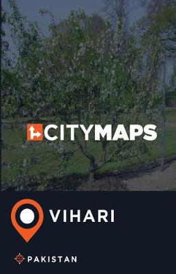 Book cover for City Maps Vihari Pakistan