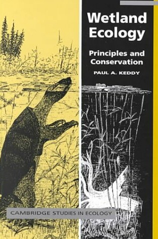 Cover of Wetland Ecology