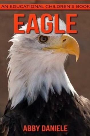 Cover of Eagle! An Educational Children's Book about Eagle with Fun Facts & Photos