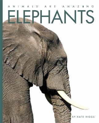 Book cover for Animals Are Amazing: Elephants