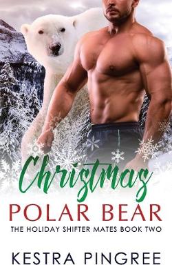 Cover of Christmas Polar Bear