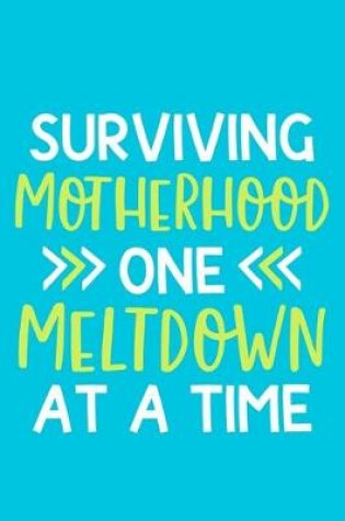 Cover of Surviving Motherhood One Meltdown At A Time