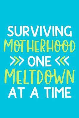 Book cover for Surviving Motherhood One Meltdown At A Time