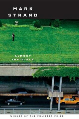 Cover of Almost Invisible