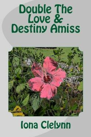 Cover of Double The Love & Destiny Amiss