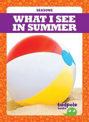 Book cover for What I See in Summer