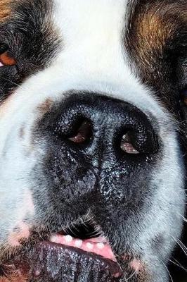 Book cover for The Big Old Snout of a St Bernard Dog journal