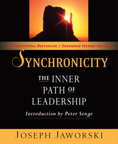 Book cover for Synchronicity