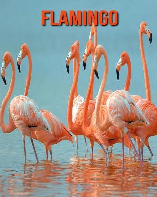 Book cover for Flamingo