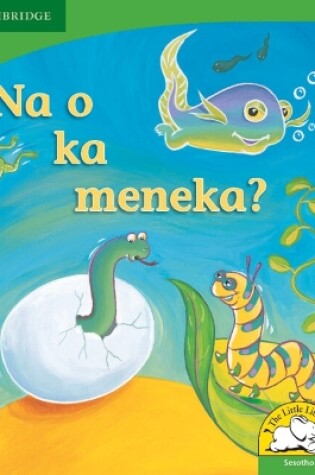 Cover of Na o ka meneka? (Sesotho)