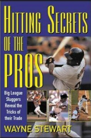 Cover of Hitting Secrets of the Pros