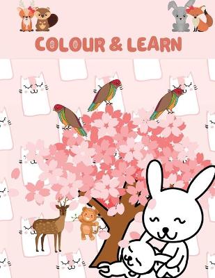 Book cover for Colour & Learn