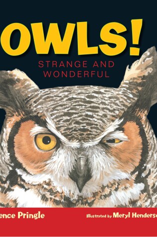 Cover of Owls!