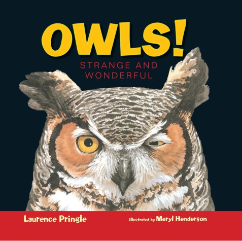 Book cover for Owls!