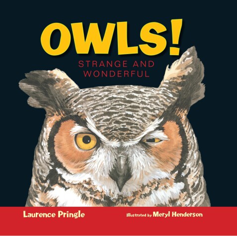 Cover of Owls!