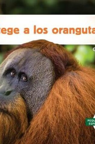 Cover of Protege a Los Orangutanes! (Help the Orangutans)