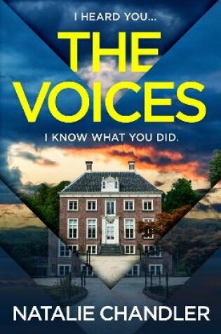 Cover of The Voices