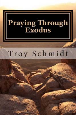 Book cover for Praying Through Exodus