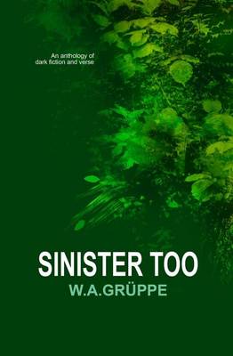 Book cover for Sinister Too