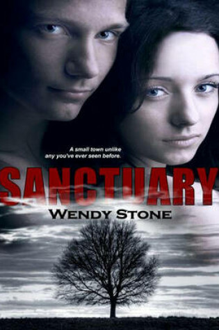 Cover of Sanctuary