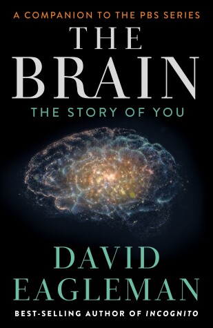 Book cover for The Brain