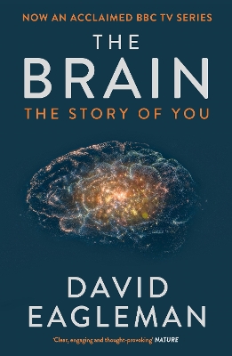 Book cover for The Brain