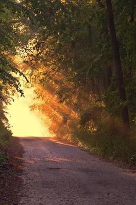 Book cover for Sunlight Down the Road