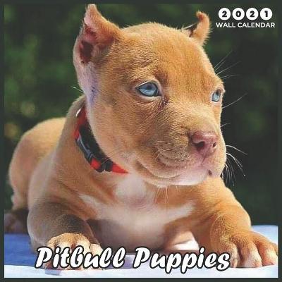 Book cover for Pitbull Puppies 2021 Wall Calendar