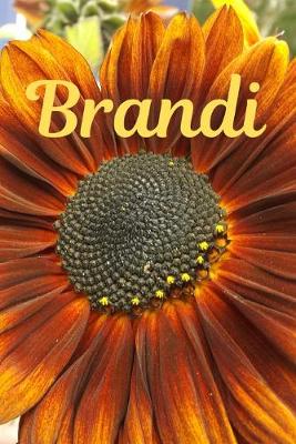 Book cover for Brandi