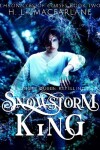 Book cover for Snowstorm King