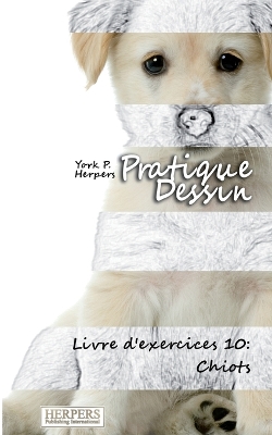 Book cover for Pratique Dessin - Livre d'exercices 10