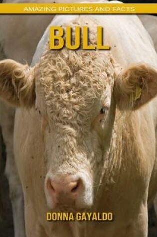 Cover of Bull