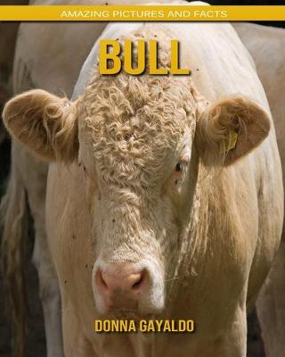 Book cover for Bull