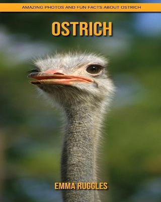 Book cover for Ostrich