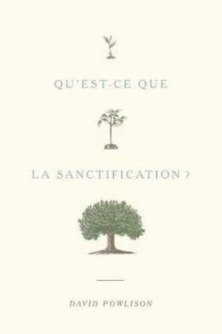 Cover of Qu'est-ce que la sanctification ?