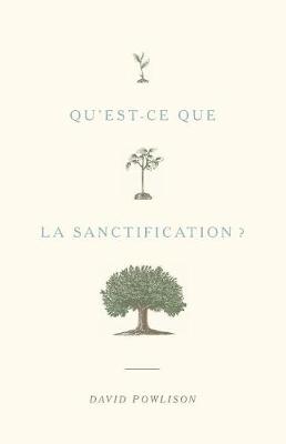 Book cover for Qu'est-ce que la sanctification ?