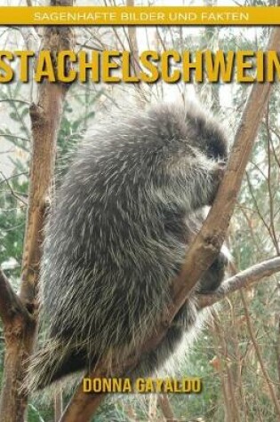 Cover of Stachelschwein