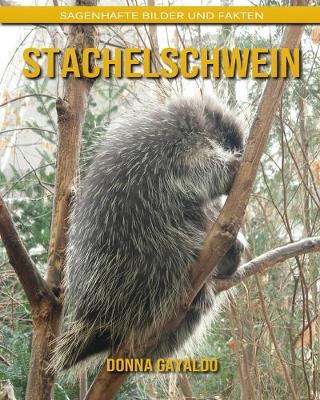 Book cover for Stachelschwein