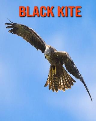 Book cover for Black kite