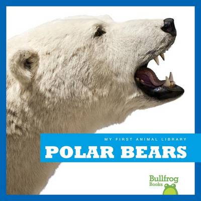 Book cover for Polar Bears