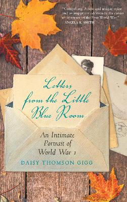 Book cover for Letters from the Little Blue Room