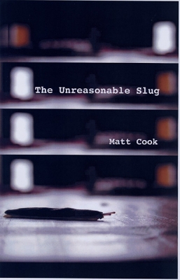 Book cover for The Unreasonable Slug