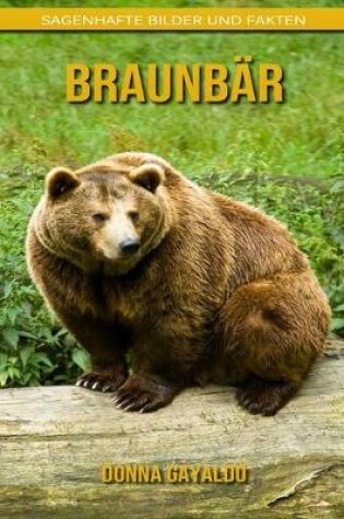 Cover of Braunbär