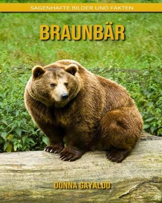 Book cover for Braunbär