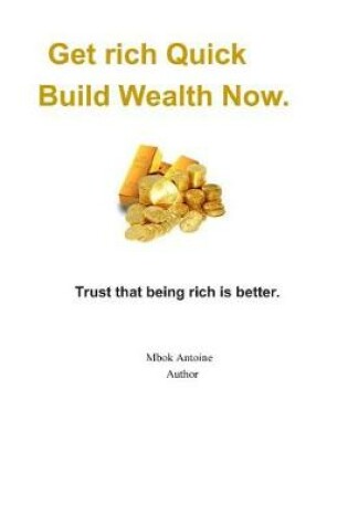 Cover of Get rich quick, build wealth now