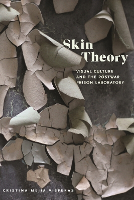 Book cover for Skin Theory