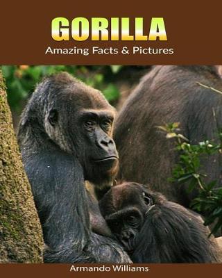 Book cover for Gorilla