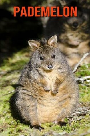 Cover of Pademelon