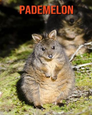 Cover of Pademelon